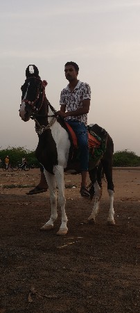 karibavri.balbamri.kiliyar