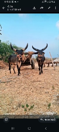 બરધવેચવાનાછે