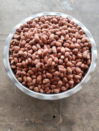 જીવીશ મગફળીનું બ્યાણ વેચવાનું છે