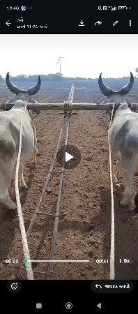 બે બે દાતે છે