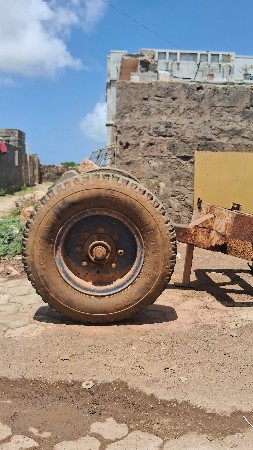 ટાયરનેધરો વીલપલેસીખે