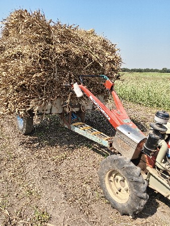 મીની ટેક્ટર