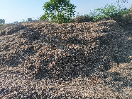 ભૂકો વેસવાનો છે