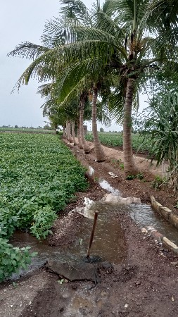 11 વીઘા ભાદરના કાંઠે જમીન