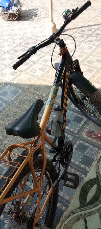 Scaping Cycle