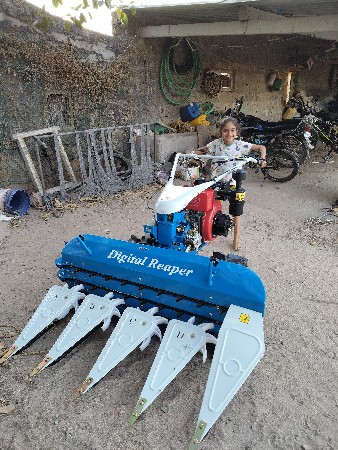 ripar masin