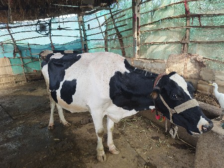 2જી વેતર