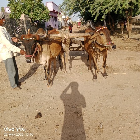 શિવ સહેબ