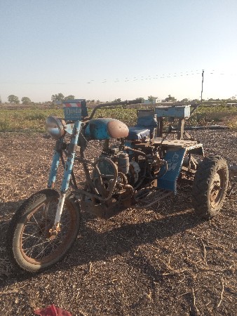 સનેડો
