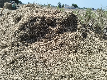 માડવીયુ વેચવા નુ છે