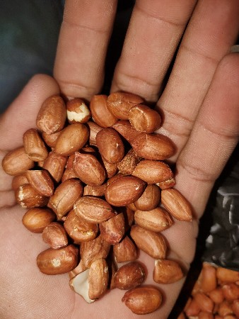 જીવીશ બી વેચવાનું બેરલ ભરેલ છે