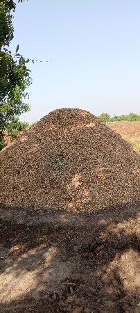 મગફળી નો ભુકો વેચવાનો છે.