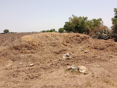 મગફળી નો પાલો (ભુકો)