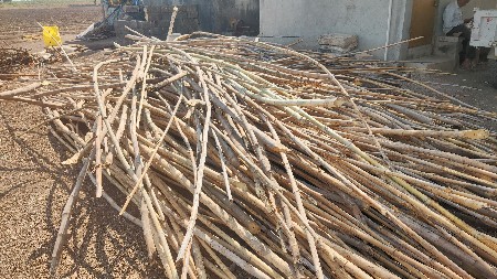 vaas ( baambu )
