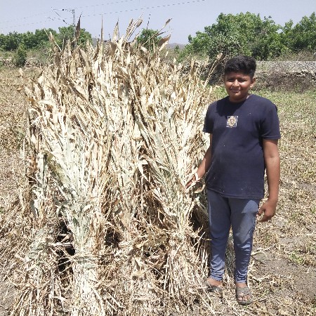 સારા વેચવાની છે.