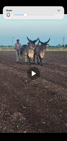 ગોધલાવેચવાનાછે