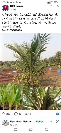 વેચવાનું છે