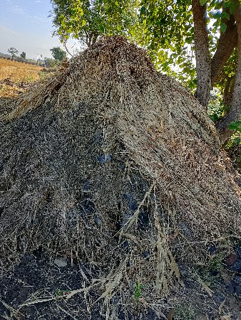 નીરણ વેચવાની છે ભૂકો વેચવાનો છે