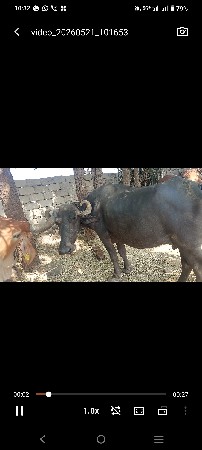 વેચવાની છે