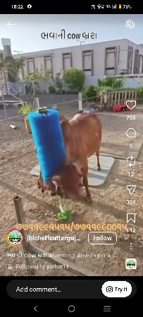 ગૌશાળા નું ખાતર દેવાનું છે
