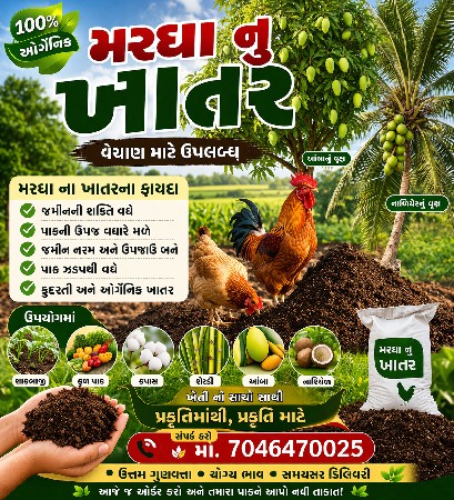 🍃મરઘા નુ ચરક🍃