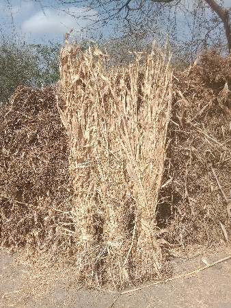 ચાર. વેચવાનીછે