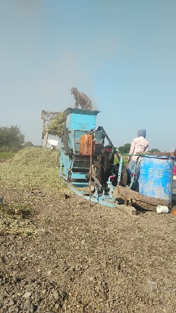 હલર (મગફળી ઘઉં ચણા માટે યોગ્ય)