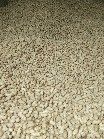 માંડવી વેચવાની ૧૨૮ નંબર