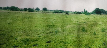 પ્લોટ