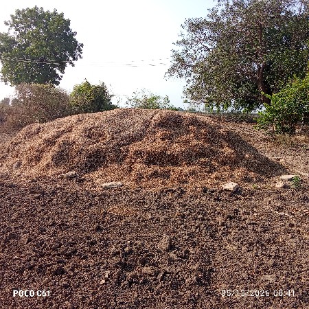 માંડવી નો ભૂકો વેચવાનો છે