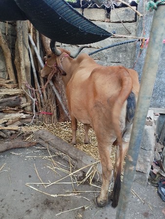 ગામ મોટા માણસા