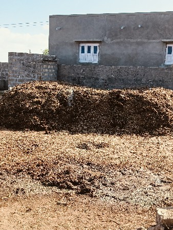 છાણીયું ખાતર