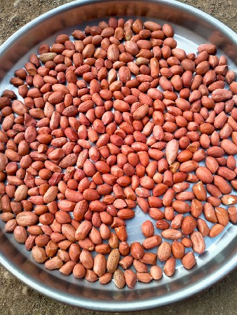 41 નંબર બી વેચવાનુ છે