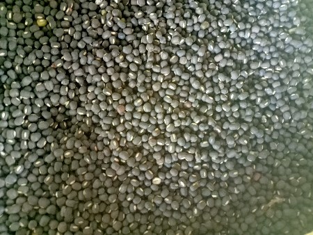 દેશી અડદ