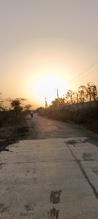 ભાગયુ આપવાનું છે 45 વિઘા નુ