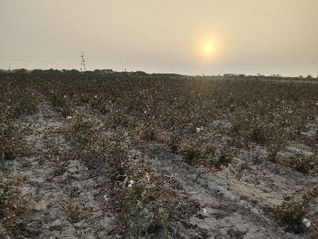 જમીન ભદે આપની સે સોલાર  માતે