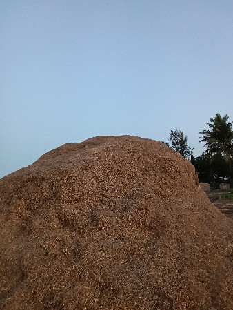 મગોટું વેચવાનું છે