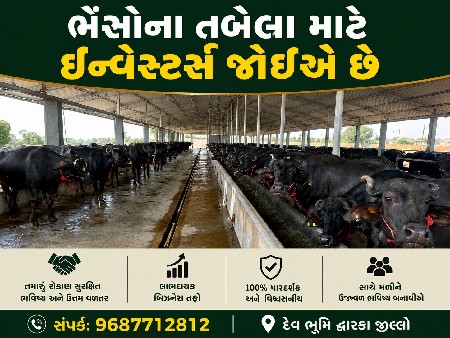 તબેલા માટે ઇન્વેસ્ટર્સ
