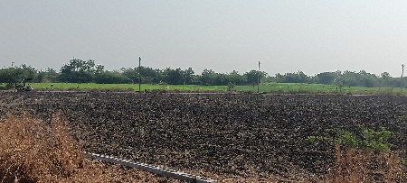 વેસવા નો સે