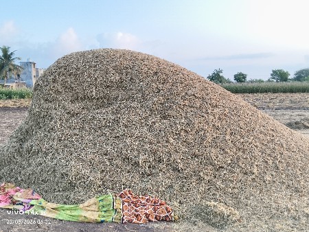 અડદિયુ વેચવાનું છે