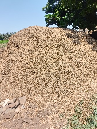 માંડવીયુ વેસવાનુ છે.