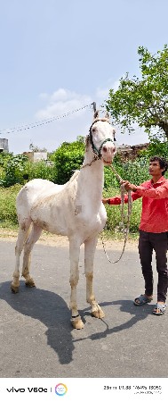 ખાલી મેસેજ અથવા કોલ કરવો નહીં