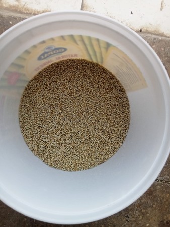 બાજરો વેચવાનો છે