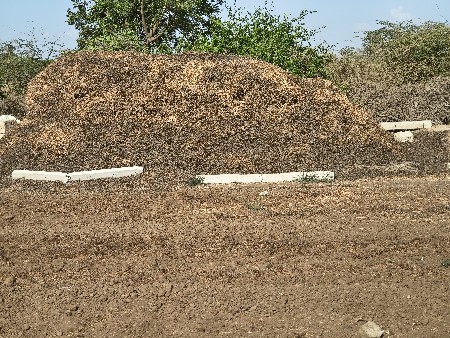 મગોટુ,મગફળી નો ભુકો.