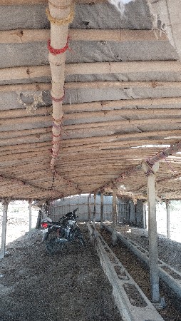 તબેલો