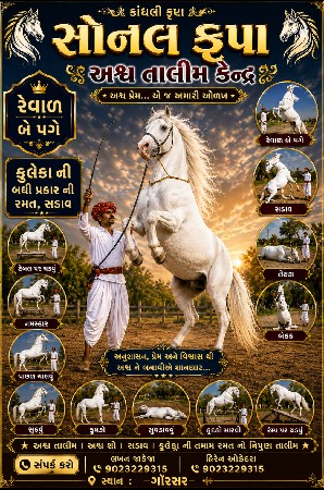 ટ્રેનીંગ