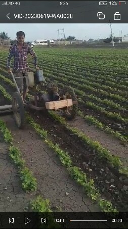 શીંગડા વાળુ