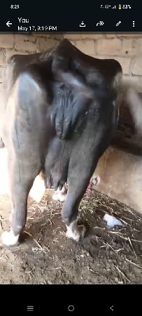બીજું વેધર છે