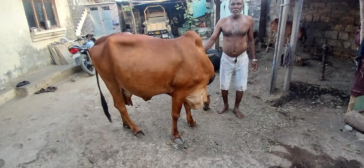 ઉમરેઠી ગામ