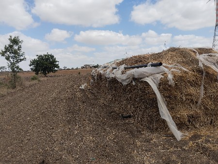 જુવાર ની નીણ વેચવા ની છે